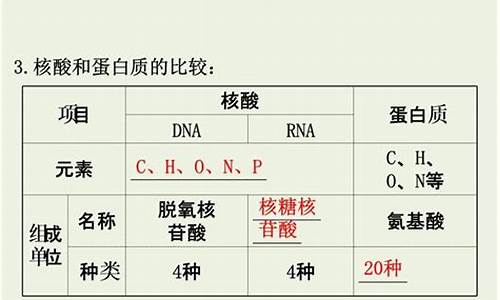 高考生物脂质,高中生物脂肪酸是什么