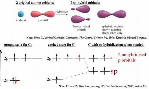 高考杂化轨道_高三化学杂化轨道