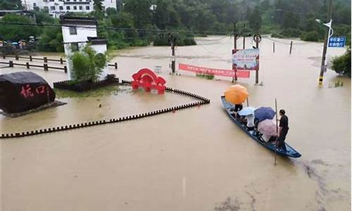 安徽大雨取消高考_安徽大暴雨高考取消