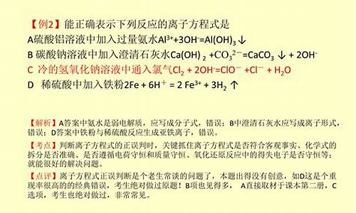 高考离子反应专题_离子反应高考题汇编