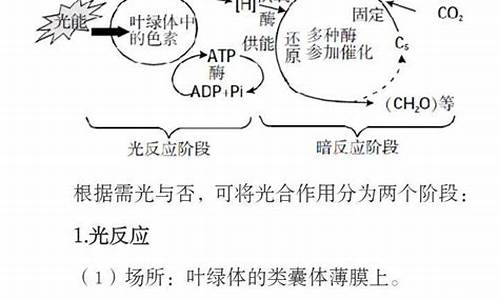 高考生物光合作用大题_高考生物光合作用大题及解析