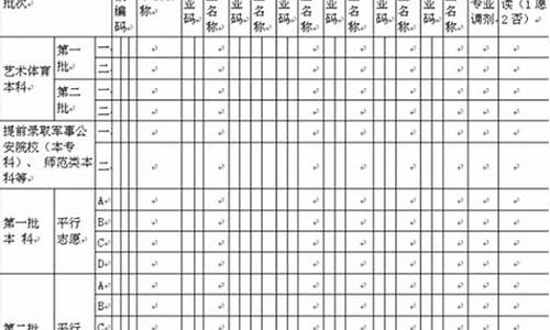 北京高考志愿填报表模板_北京高考志愿填报表