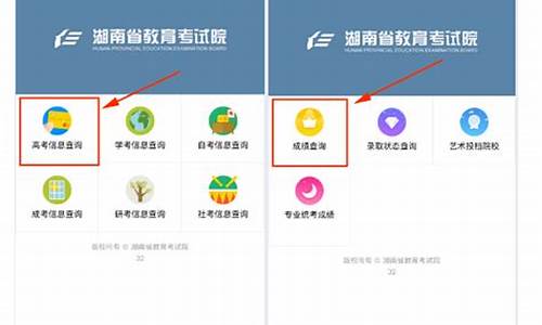 高考信息查询湖南,湖南高考查成绩网站