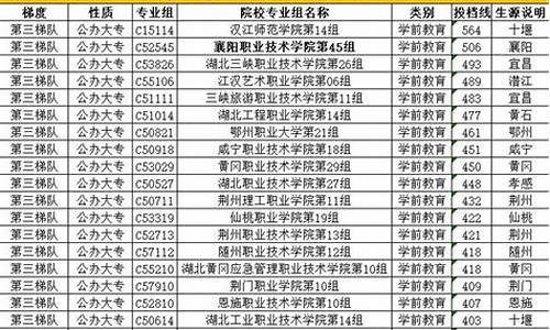 高考学前教育的分数线_学前教育高考多少分才能录取