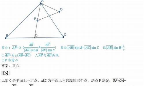 高考数学典型100题(带解析)-高考数学外心